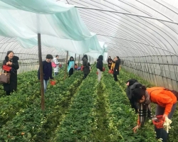 相约三月天 别样女神节