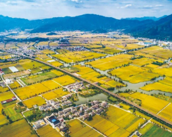 《杭州日报》:浙工大工程设计集团致力打造乡村振兴样板