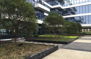 大江东金融小镇景观设计