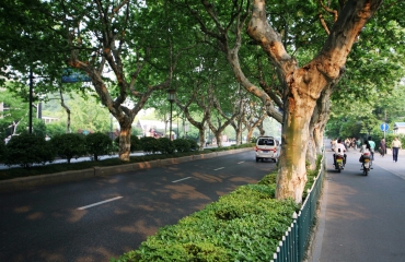 杭州市保俶路综合整治工程