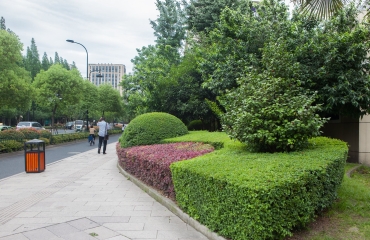 潮王路街道改造