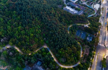 临平老城区有机更新二期工程设计采购施工（EPC）总承包项目